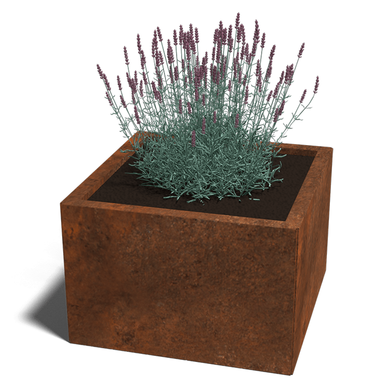 vierkante cortenstaal plantenbakken