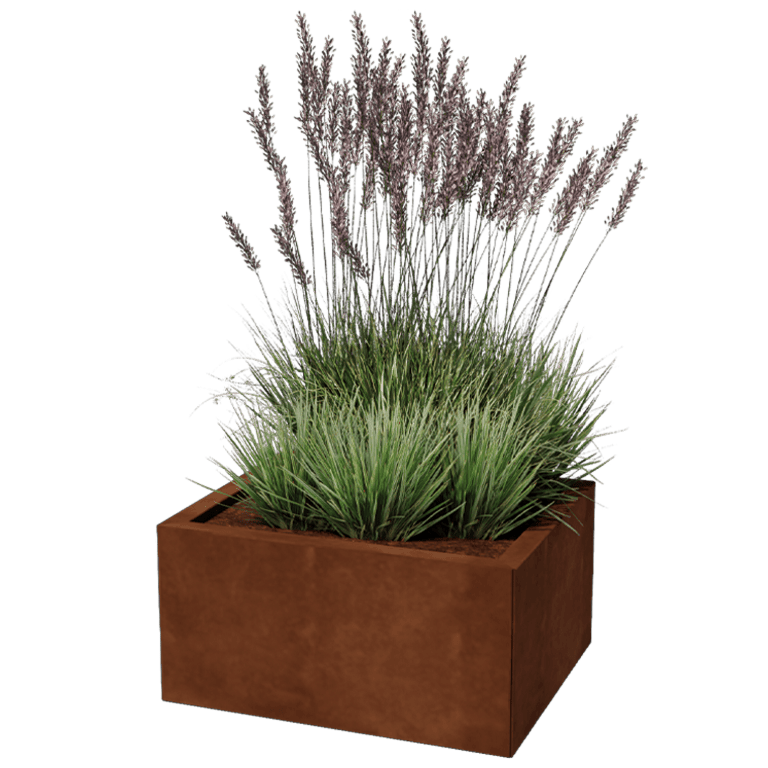 Cortenstaal plantenbak rechthoek 50 x 60 cm