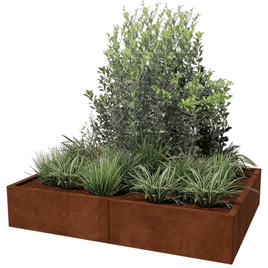 Corten steel planter XXL rectangular 160 x 120 cm