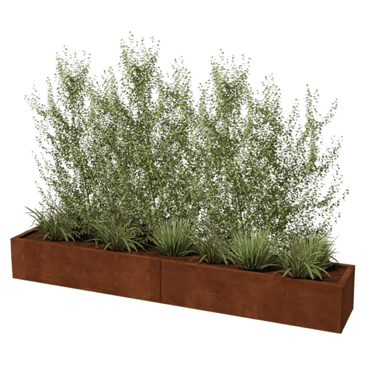 Corten steel planter XXL rectangular 240 x 40 cm