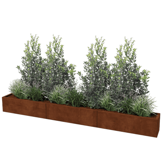 Corten steel planter XXL rectangular 300 x 30 cm