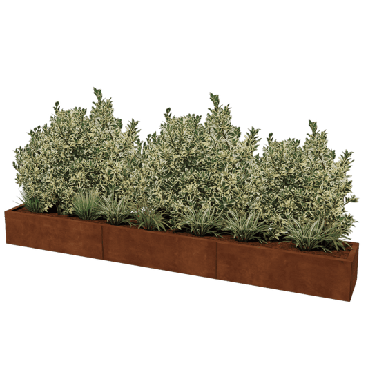 Corten steel planter XXL rectangular 300 x 40 cm