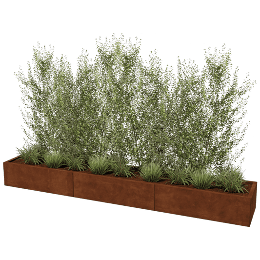 Corten steel planter XXL rectangular 300 x 50 cm