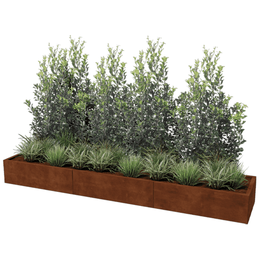 Corten steel planter XXL rectangular 300 x 60 cm