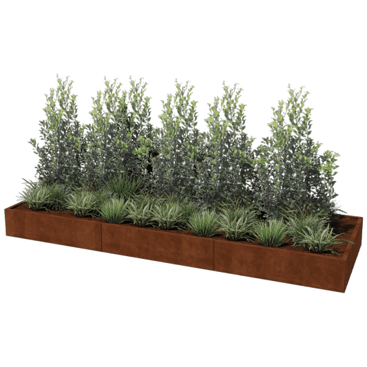 Corten steel planter XXL rectangular 360 x 120 cm