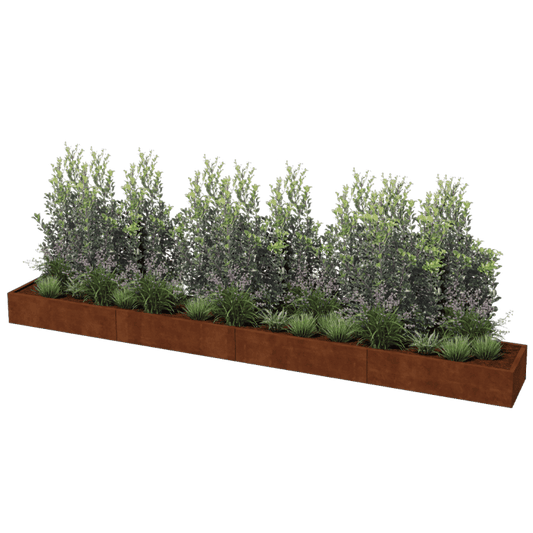 Corten steel planter XXL rectangular 480 x 60 cm