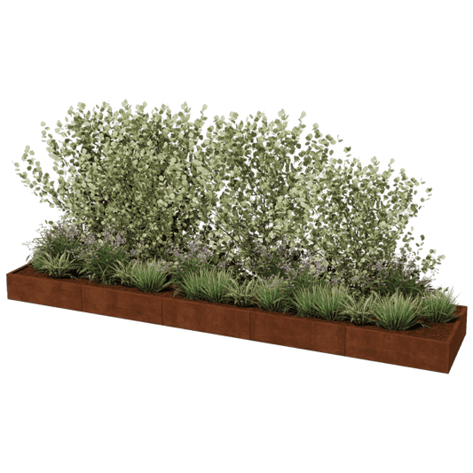 Corten steel planter XXL rectangular 500 x 100 cm