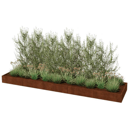 Corten steel planter XXL rectangular 500 x 120 cm
