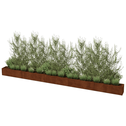Corten steel planter XXL rectangular 500 x 30 cm