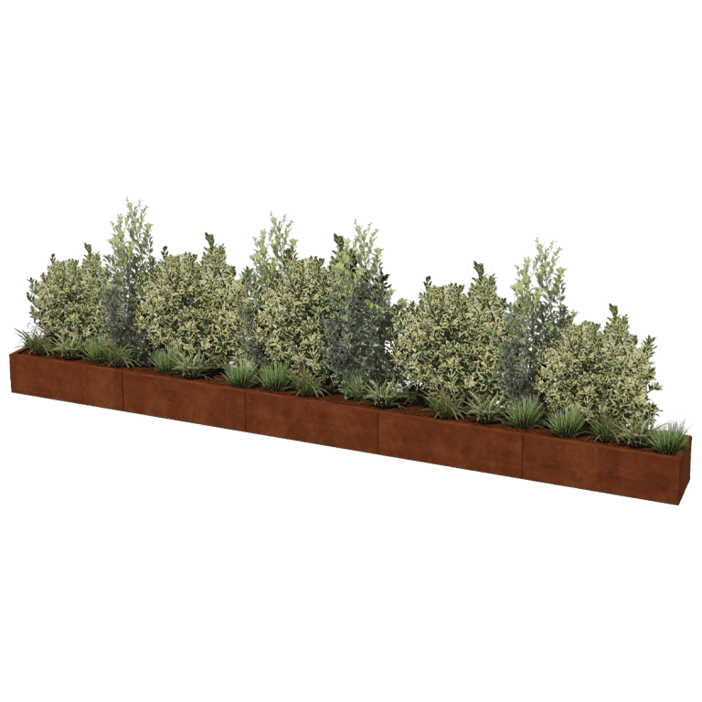 Cortenstaal plantenbak XXL rechthoek 500 x 40 cm