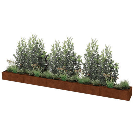 Corten steel planter XXL rectangular 500 x 50 cm