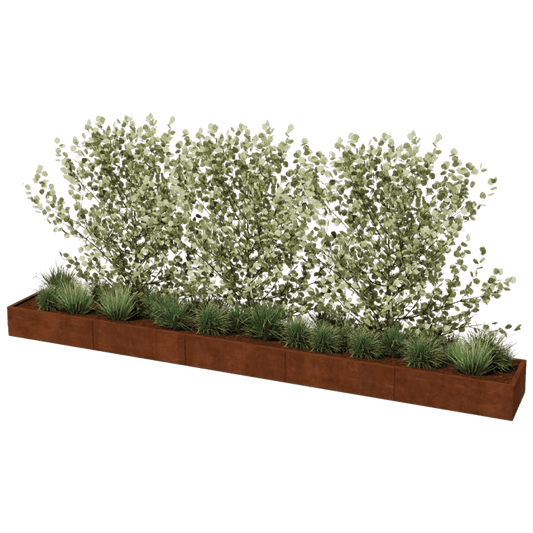 Corten steel planter XXL rectangular 500 x 60 cm