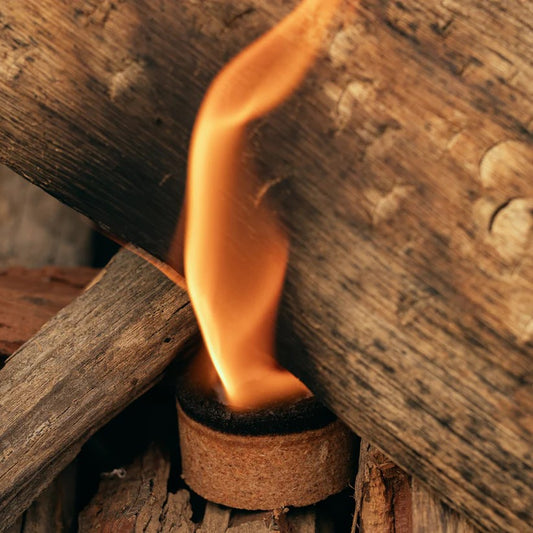 Ecolighter - ecological firelighters - 1 pack (10 pcs)