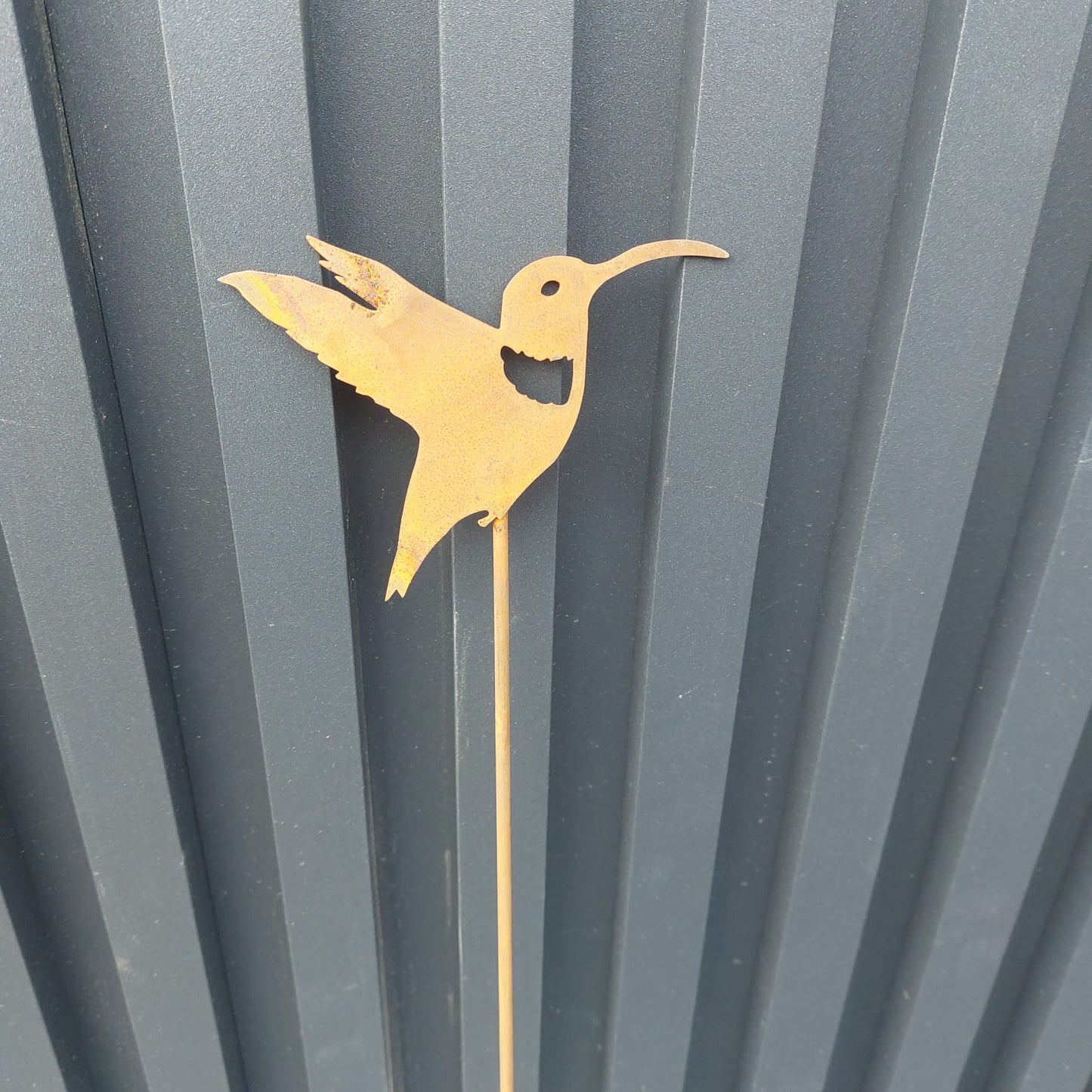 Corten Colibri