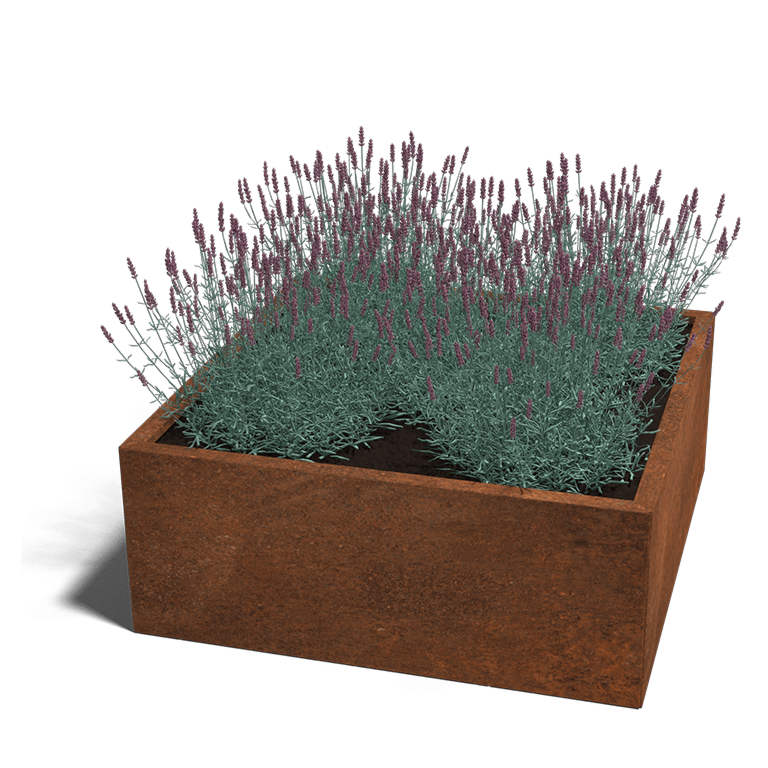 Plantenbak 100 x 100 cm
