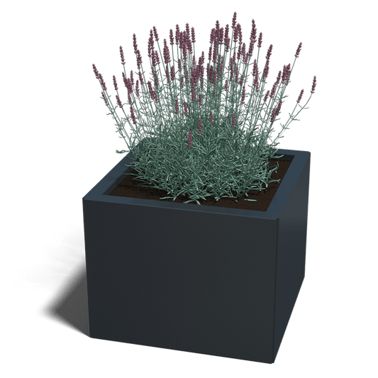 Plantenbak in gepoedercoat staal 50 x 50 cm