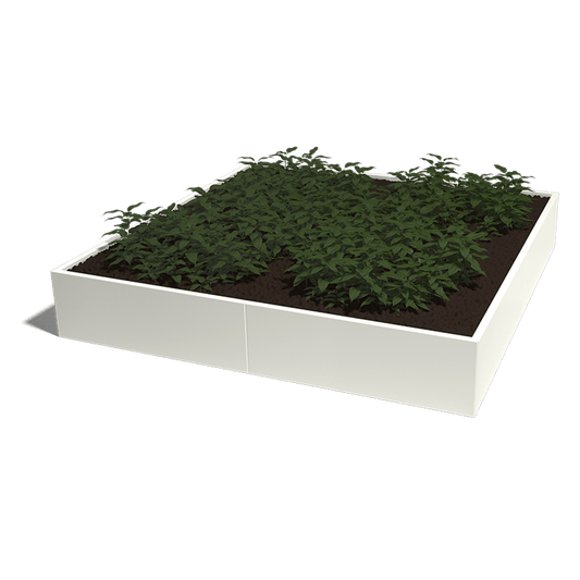 Plantenbak gepoedercoat 240 x 240 cm XXL