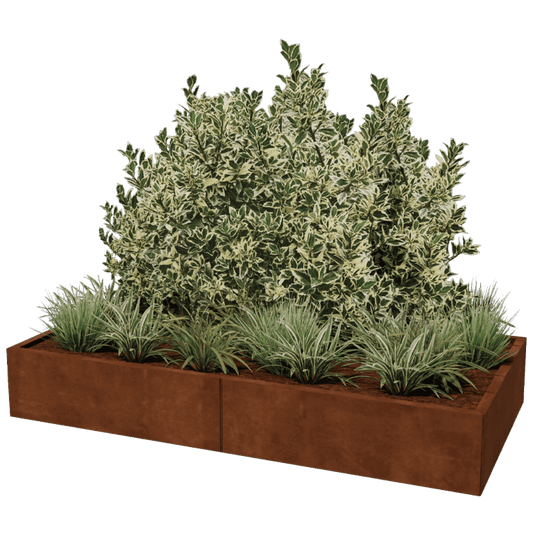 Cortenstaal plantenbak XXL rechthoek 200 x 100 cm