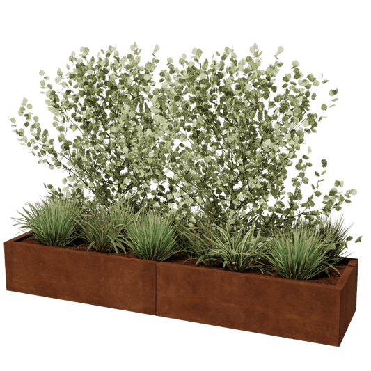 Cortenstaal plantenbak XXL rechthoek 200 x 50 cm