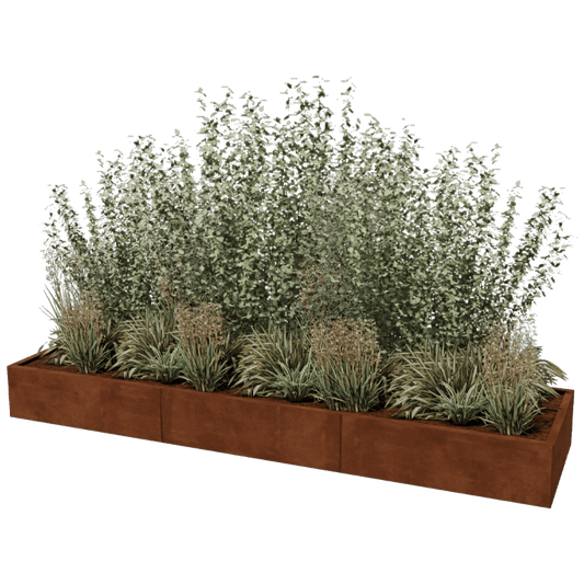 Cortenstaal plantenbak XXL rechthoek 300 x 80 cm