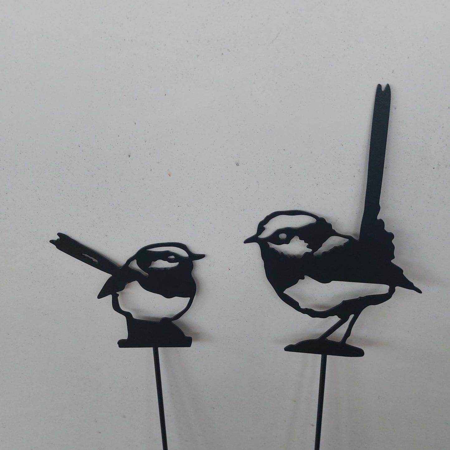 Two little birds looking at each other, black