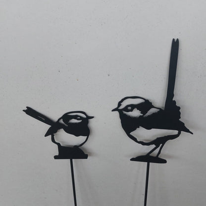 Two little birds looking at each other, black
