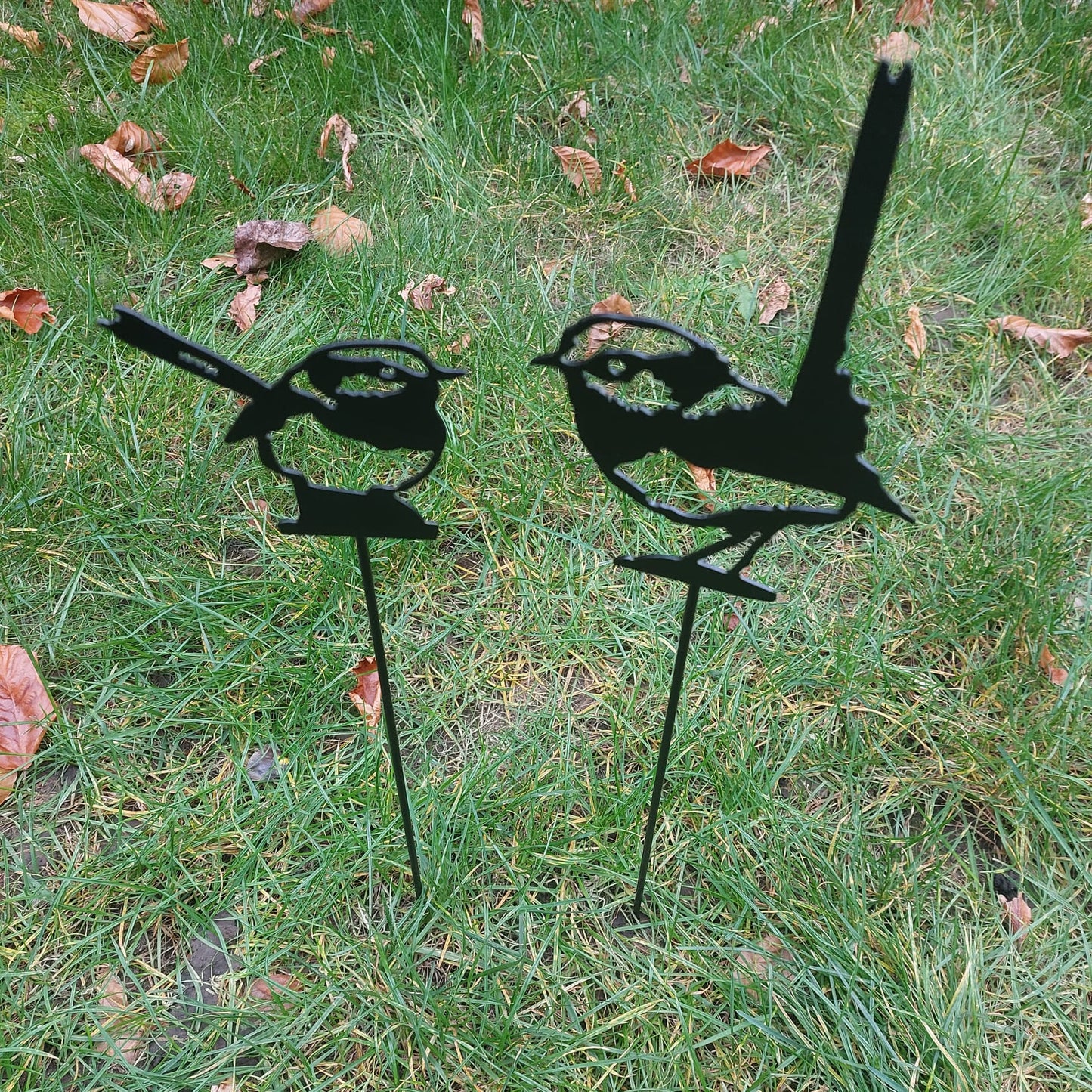 Two little birds looking at each other, black