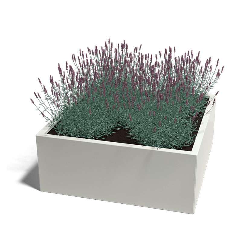 Plantenbak gepoedercoat staal 100 x 100 cm