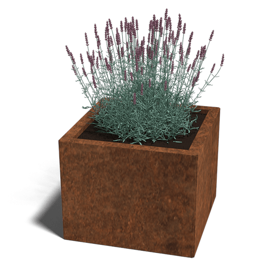 Plantenbak 50 x 50 cm